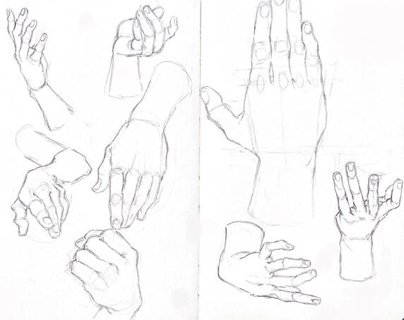 Hand Studies, 2025