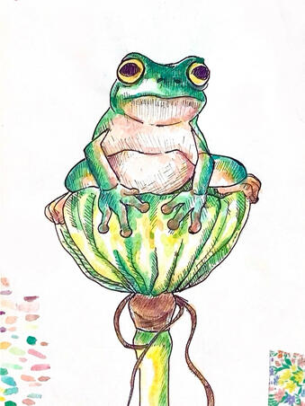 It's frog time, 2023